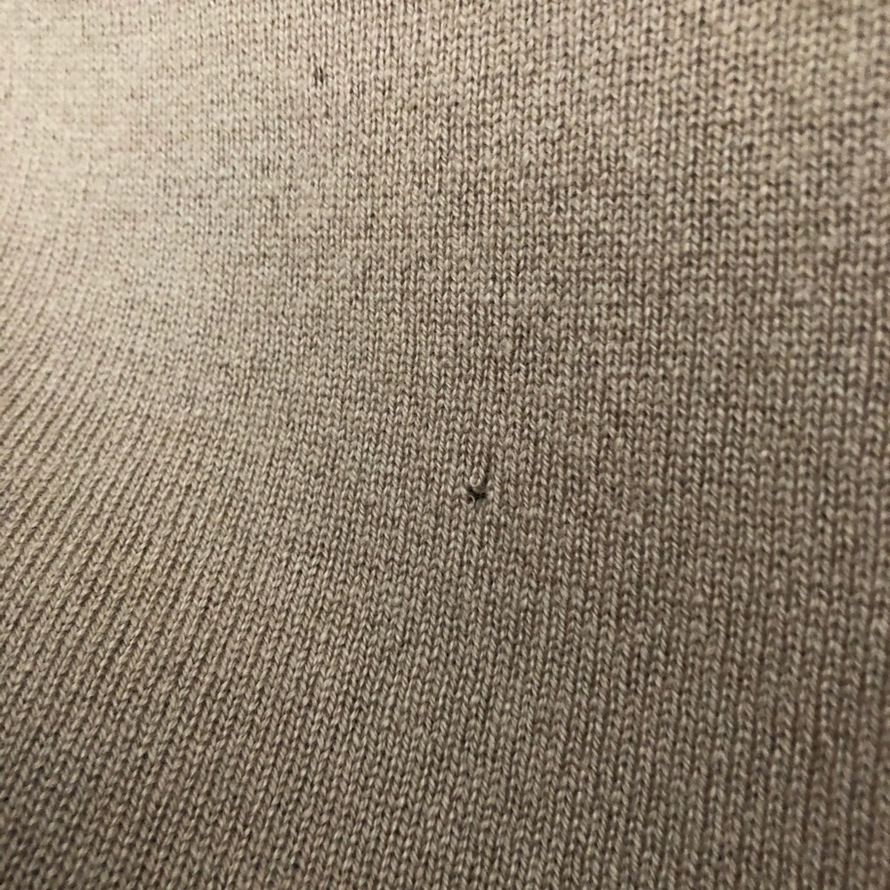 Everlane Cashmere Crew - Picture 8 of 9